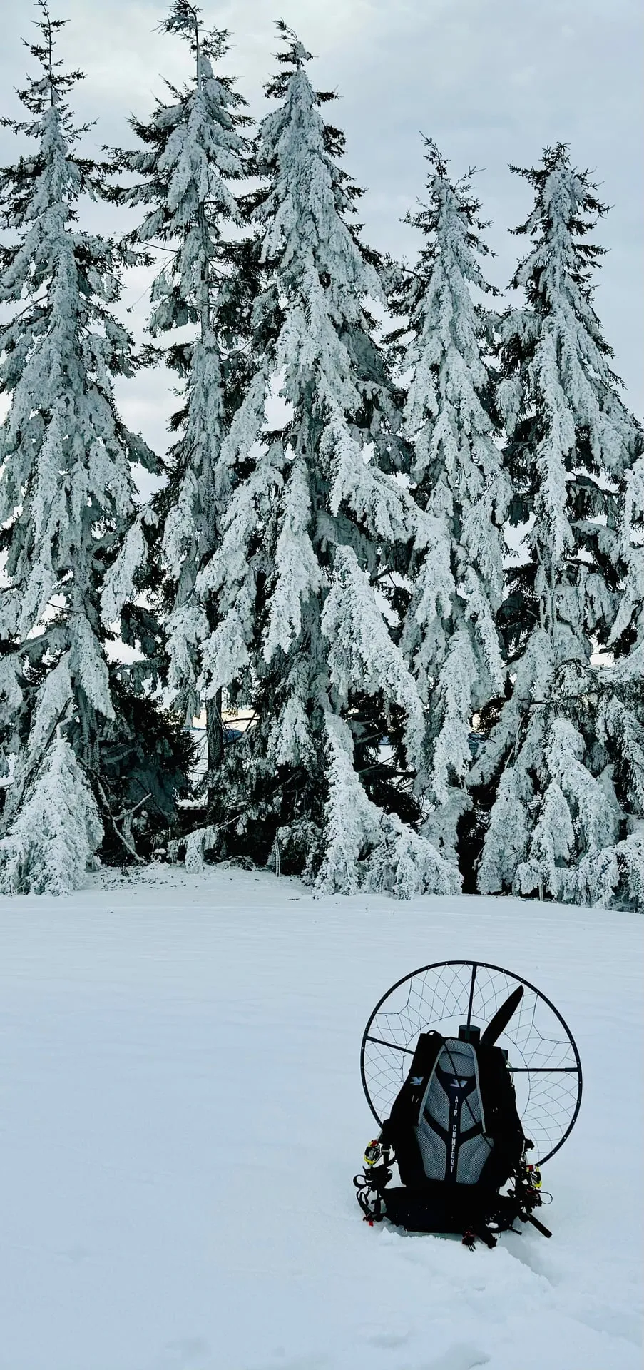 Paramoteur posé dans la neige, au pied de sapins enneigés